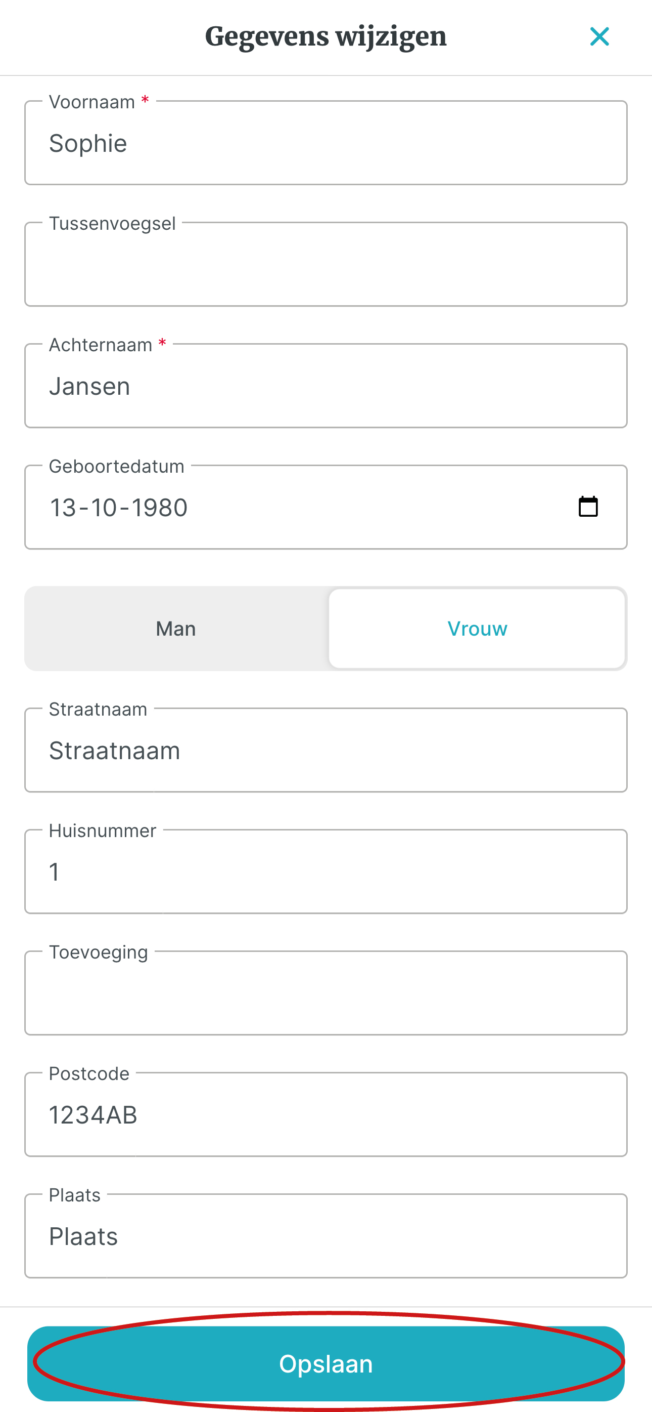 5. Gegevens opslaan.jpg